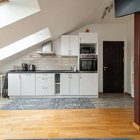 Old Town Happiness Apartment Vilnius