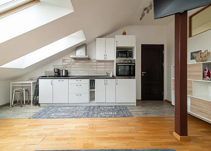 Old Town Happiness Apartment Wilna