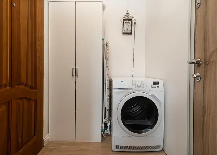 Old Town Happiness * Wilna